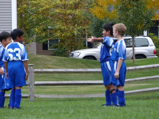 P1000422 (10-05-2013 15:08)