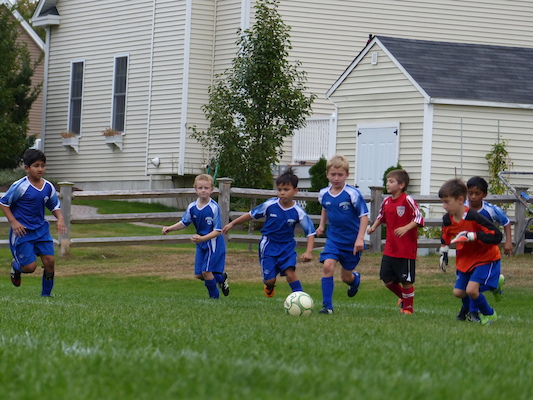 P1000424 (10-05-2013 15:09)