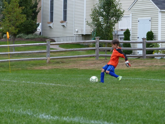 P1000426 (10-05-2013 15:10)