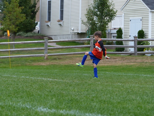 P1000428 (10-05-2013 15:10)