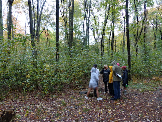 P1000446 (10-06-2013 09:45)