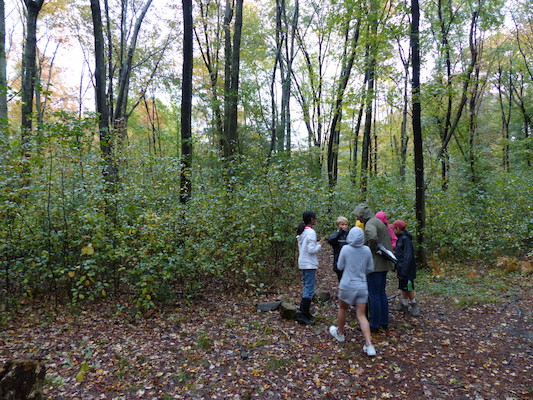 P1000447 (10-06-2013 09:45)