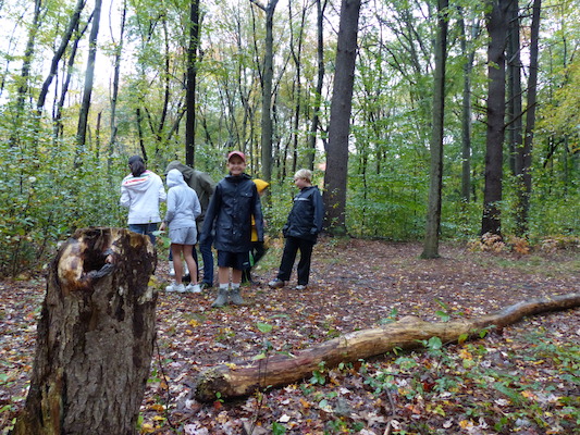 P1000448 (10-06-2013 09:45)