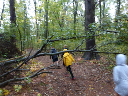 P1000451 (10-06-2013 09:48)