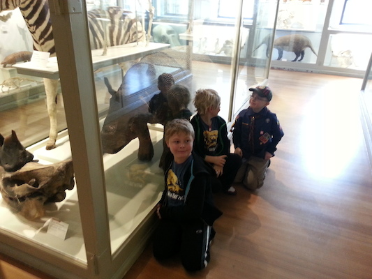 20130407_153645 (04-07-2013 15:36)