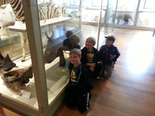 20130407_153647 (04-07-2013 15:36)