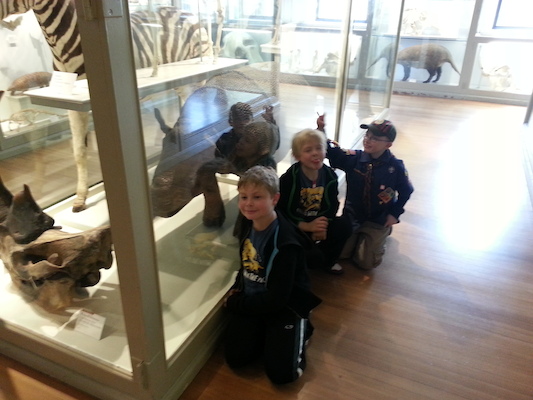 20130407_153649 (04-07-2013 15:36)