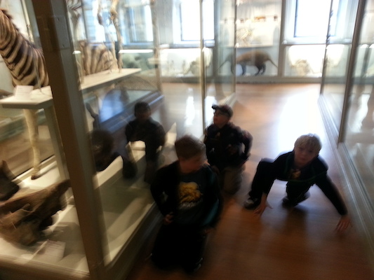 20130407_153707 (04-07-2013 15:37)