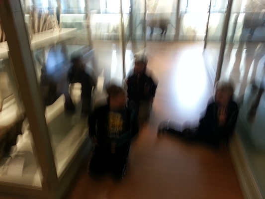 20130407_153709 (04-07-2013 15:37)