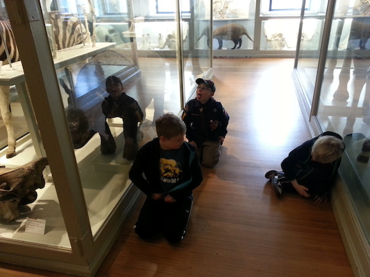 20130407_153712 (04-07-2013 15:37)