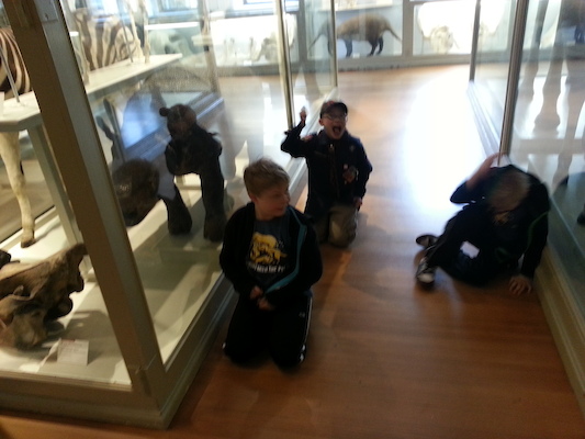 20130407_153716 (04-07-2013 15:37)