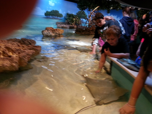 20130418_135630 (04-18-2013 13:56)