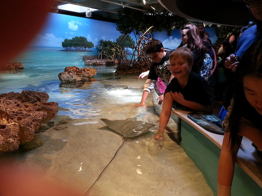 20130418_135633 (04-18-2013 13:56)