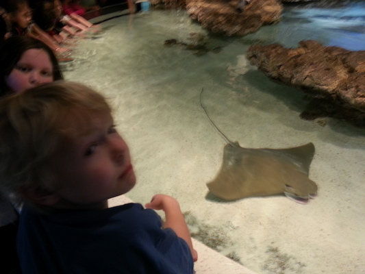 20130418_135644 (04-18-2013 13:56)