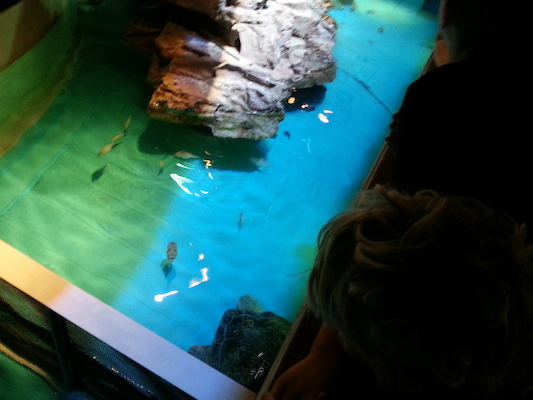 20130418_141157 (04-18-2013 14:11)