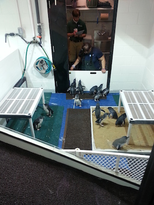 20130418_143723 (04-18-2013 14:37)