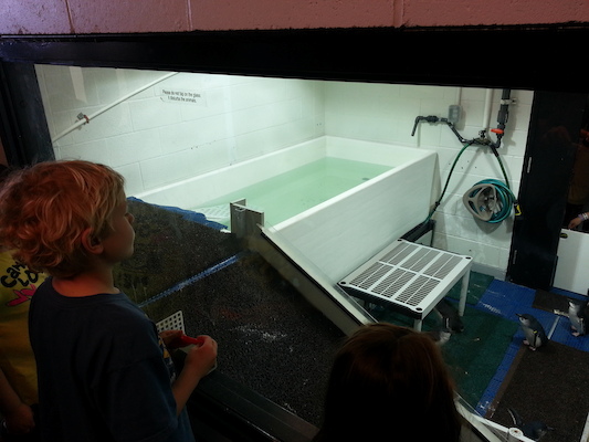 20130418_143839 (04-18-2013 14:38)