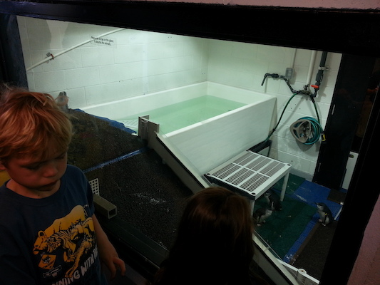 20130418_143848 (04-18-2013 14:38)