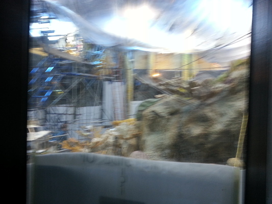 20130418_145956 (04-18-2013 14:59)