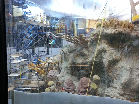 20130418_150010 (04-18-2013 15:00)