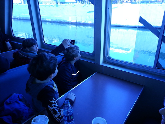 IMG_20130428_080503 (04-28-2013 08:05)