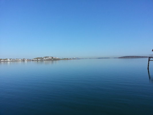 IMG_20130428_081331 (04-28-2013 08:13)