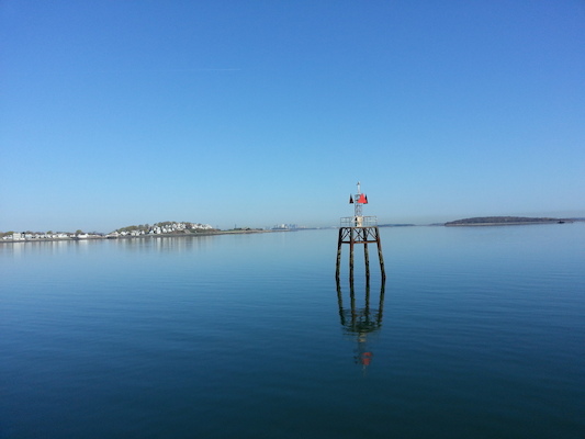 IMG_20130428_081333 (04-28-2013 08:13)