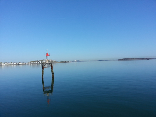 IMG_20130428_081334 (04-28-2013 08:13)