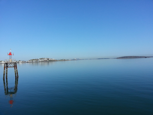 IMG_20130428_081335 (04-28-2013 08:13)