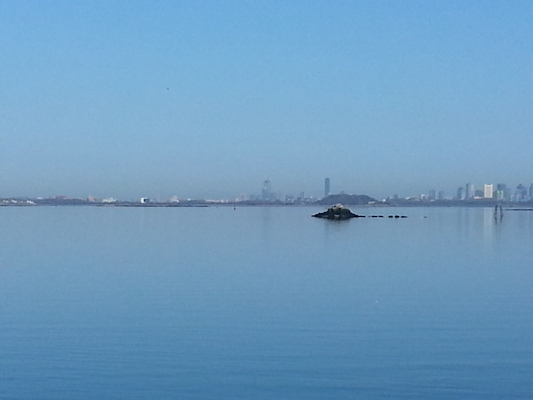 IMG_20130428_081432 (04-28-2013 08:14)