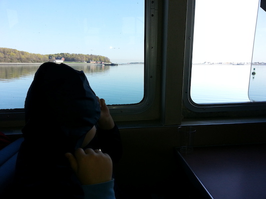 IMG_20130428_081654 (04-28-2013 08:16)