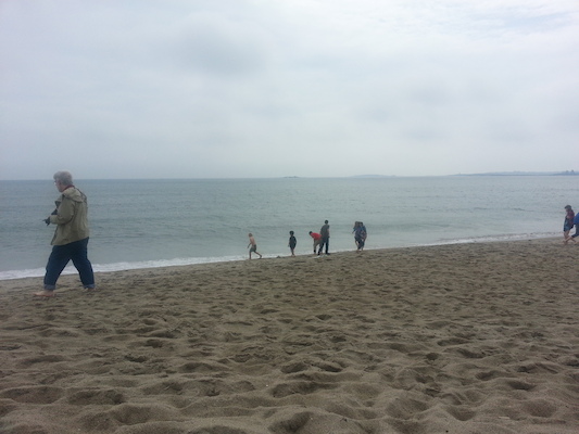 IMG_20130511_102835 (05-11-2013 10:28)