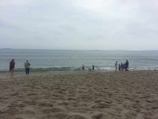 IMG_20130511_102939 (05-11-2013 10:29)