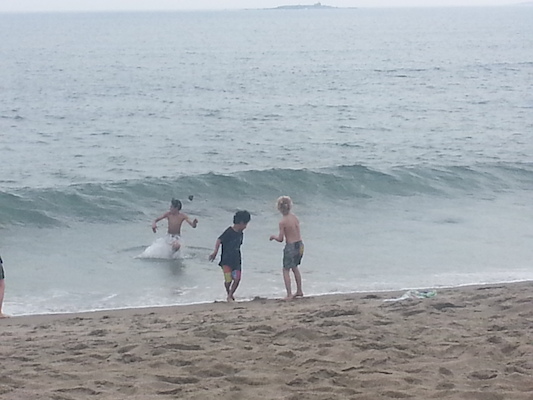 IMG_20130511_102950 (05-11-2013 10:29)