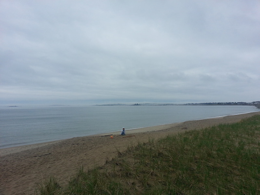 IMG_20130512_112942 (05-12-2013 11:29)