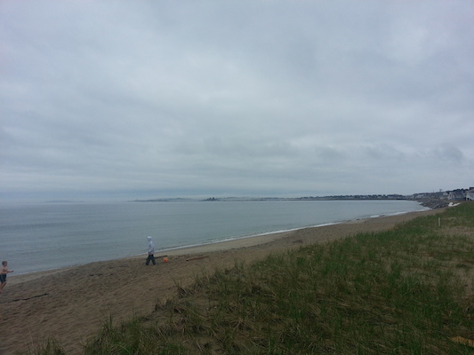 IMG_20130512_112949 (05-12-2013 11:29)