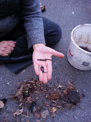 IMG_20130513_194954 (05-13-2013 19:49)