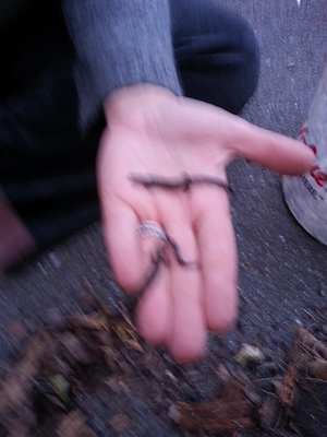 IMG_20130513_194956 (05-13-2013 19:49)