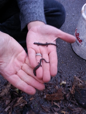 IMG_20130513_194957 (05-13-2013 19:49)