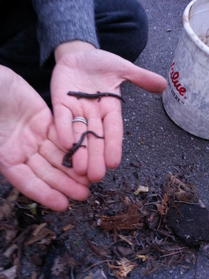 IMG_20130513_194958 (05-13-2013 19:49)