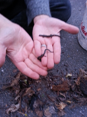 IMG_20130513_195000 (05-13-2013 19:50)