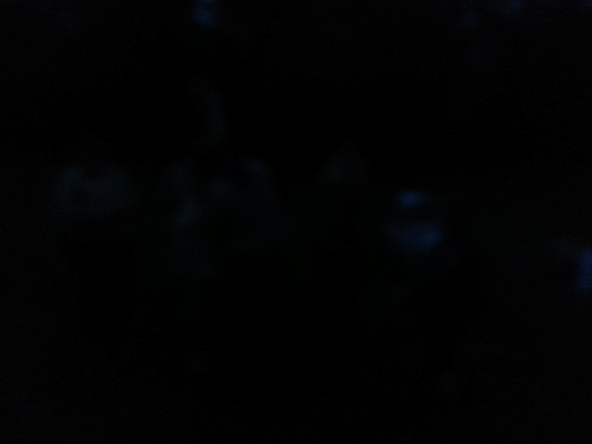 IMG_20130520_203058 (05-20-2013 20:30)