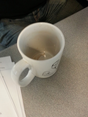 IMG_20130521_160001 (05-21-2013 16:00)