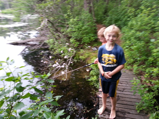 IMG_20130616_163002 (06-16-2013 16:30)