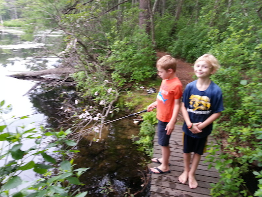 IMG_20130616_163008 (06-16-2013 16:30)