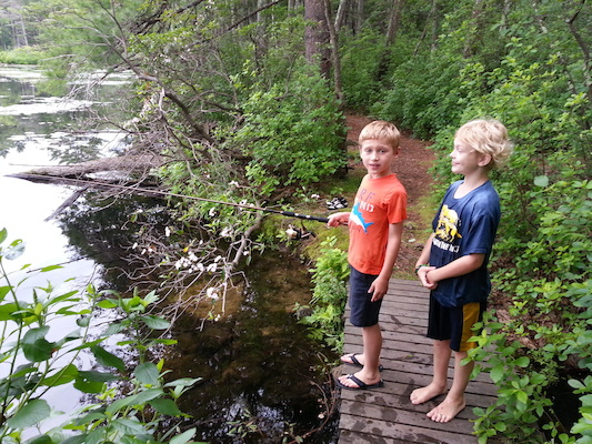 IMG_20130616_163010 (06-16-2013 16:30)