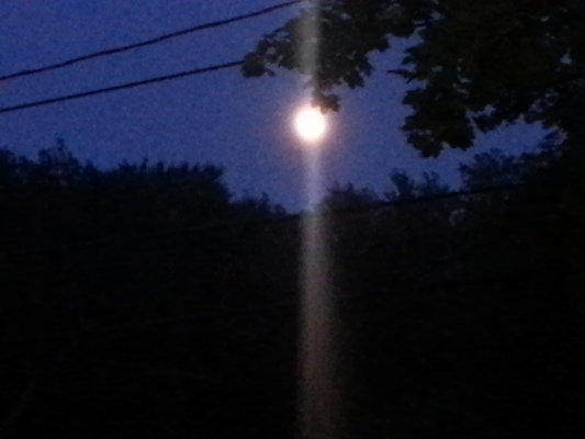 IMG_20130621_205751 (06-21-2013 20:57)