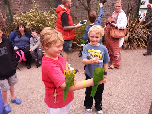 IMG_20130630_140349 (06-30-2013 14:03)