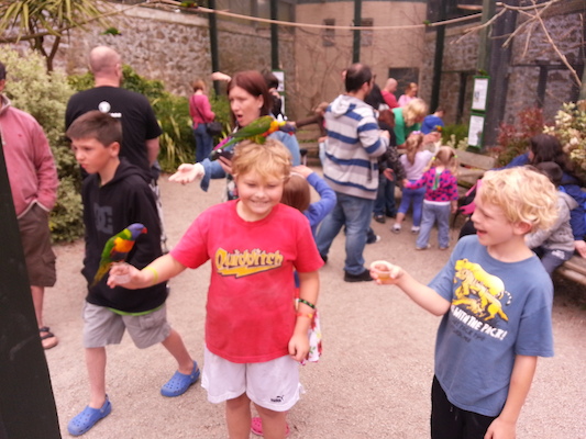 IMG_20130630_140420 (06-30-2013 14:04)