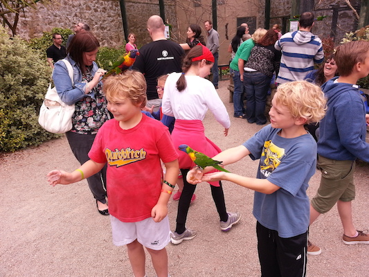 IMG_20130630_140440 (06-30-2013 14:04)